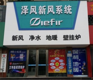 公司介绍